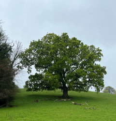 Sharpham House, Devon